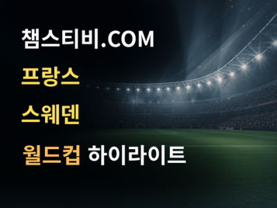 프랑스 VS 스웨덴 3:0 월드컵 하이라이트