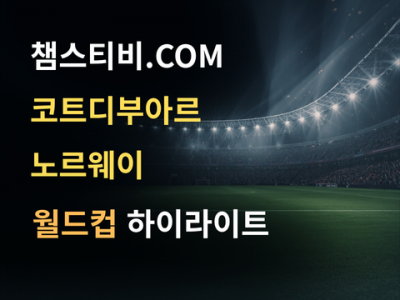 코트디부아르 VS 노르웨이 1:2 월드컵 하이라이트