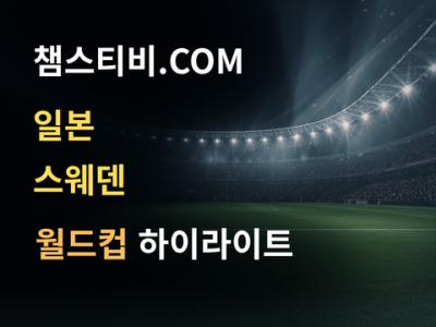 일본 VS 스웨덴 1:1 월드컵 하이라이트