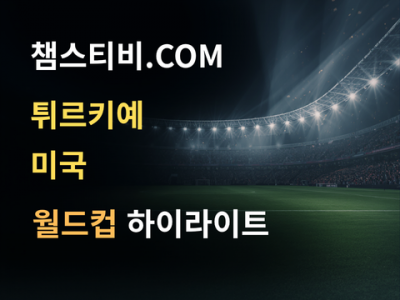 튀르키예 VS 미국 3:2 월드컵 하이라이트