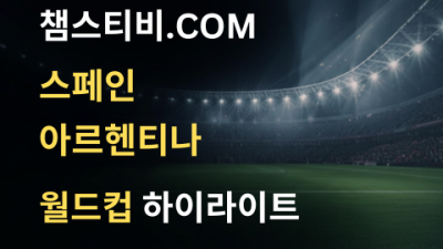 스페인 VS 아르헨티나 1:0 월드컵 하이라이트