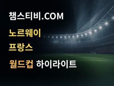 노르웨이 VS 프랑스 1:4 월드컵 하이라이트