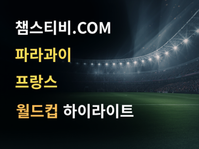 파라과이 VS 프랑스 0:1 월드컵 하이라이트