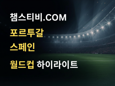 포르투갈 VS 스페인 0:1 월드컵 하이라이트