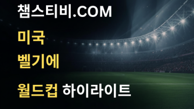미국 VS 벨기에 1:4 월드컵 하이라이트